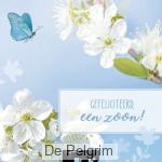 Wenskaart Gefeliciteerd Een zoon