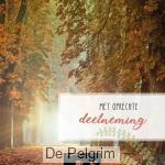 Wenskaart Met oprechte deelneming