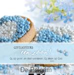 Wenskaart Gefeliciteerd Een zoon!