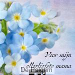 opschrijfboekje - Voor mijn allerliefste mama 