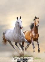 Notitieboek A5 chief & lady  | Schrijfgerei