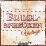 Neerzetboek Bijbelspreuken - Diverse auteurs