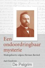 Een ondoordringbaar mysterie - Aart Goedvree