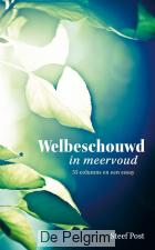 Welbeschouwd in meervoud | Steef Post