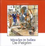 Miracles in Judæa - Ds. C.J. Meeuse