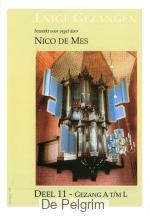 Enige Gezangen deel 11 - Nico de Mes